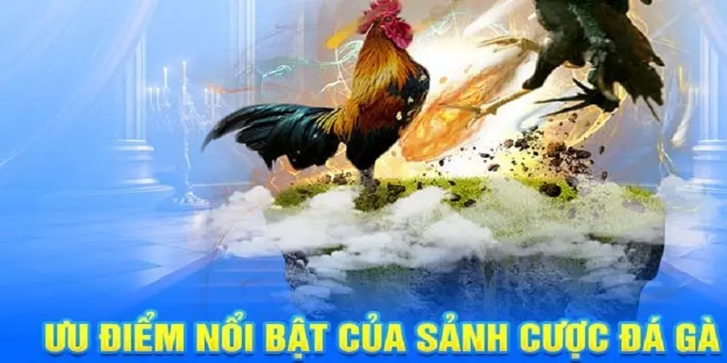 3 ưu điểm nổi bật tạo nên sức hút của sảnh đá gà GK88